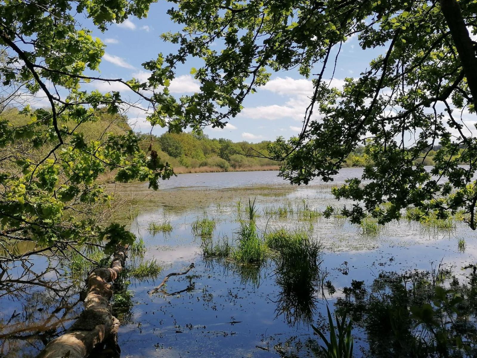 Ma Sologne,Zoo Beauval,Chateaux De La Loire,Golf Sassay Zewnętrze zdjęcie